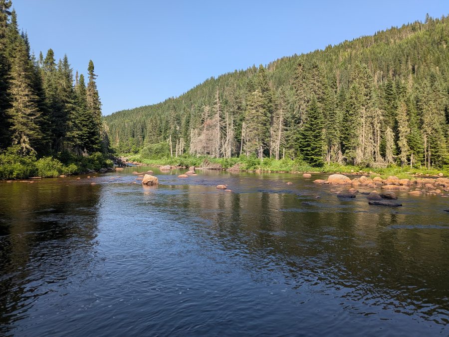 Aventures à Québec – Sentiers de gravel – Réserve faunique des Laurentides